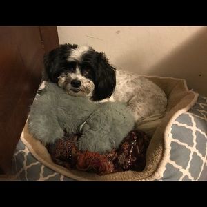 Meet your Posher, Shereen